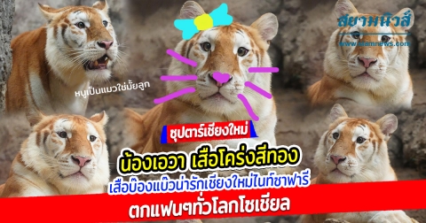 Responsive image