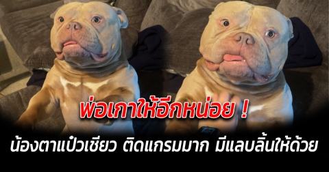 Responsive image