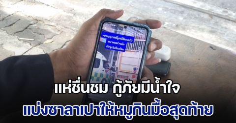 Responsive image