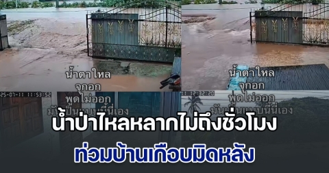Responsive image