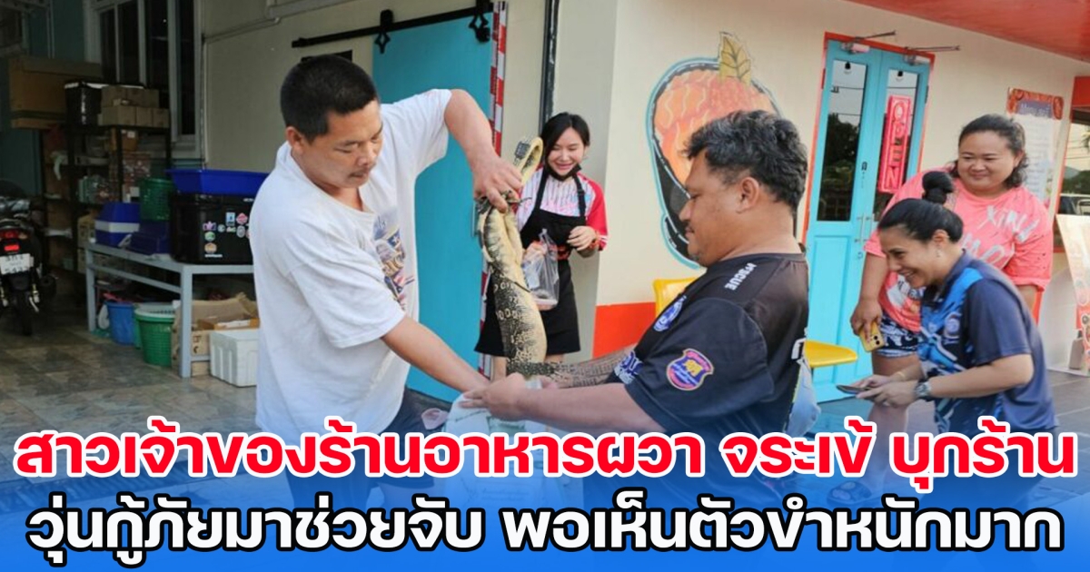 สาวเจ้าของร้านอาหารสดผวา จระเข้ บุกร้าน วุ่นเจ้าหน้าที่กู้ภัยมาช่วยจับ พอเห็นตัวพากันขำหนักมาก