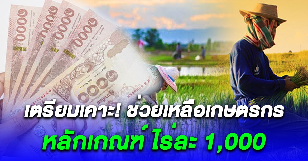 ข่าวดี เปิดหลักเกณฑ์ ช่วยเหลือชาวนาไร่ละ 1,000 เตรียมเคาะ ช่วยเหลือเกษตรกร