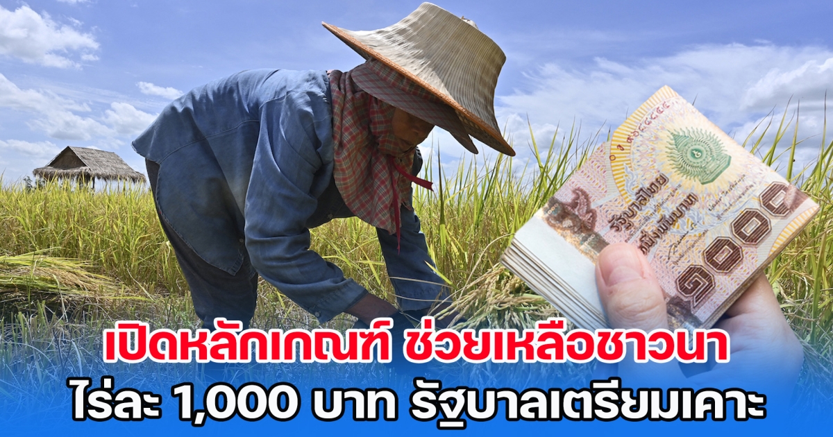 เปิดหลักเกณฑ์ ช่วยเหลือชาวนาไร่ละ 1,000 บาท เตรียมพร้อมกรณีรับเงินเยียวยา