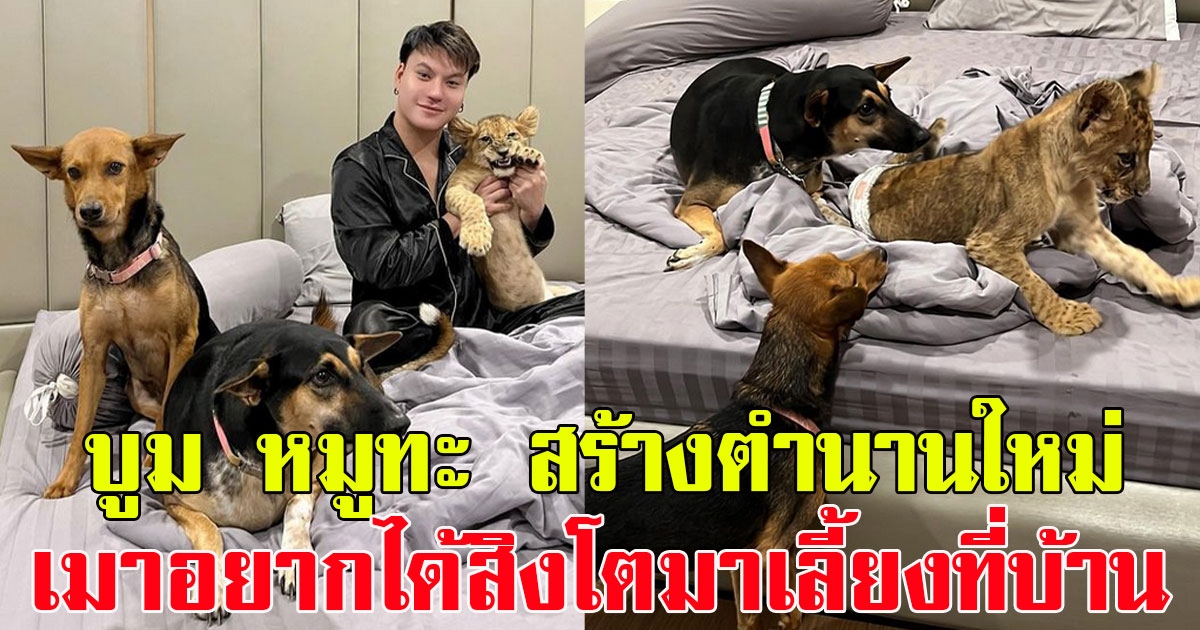 บูม หมูทะ สร้างตำนานใหม่ หลังเมาอยากได้สิงโตมาเลี้ยงที่บ้าน แฟนๆแห่เตือนระวังถูกจับ