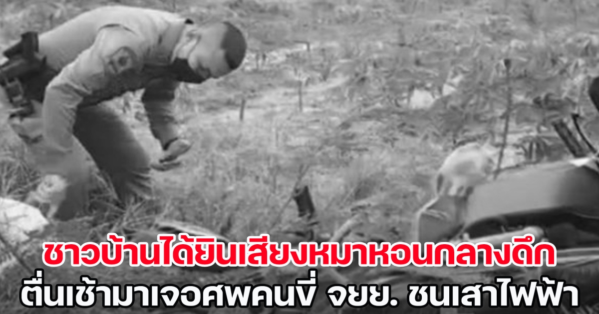 ดับคาที่! ชาวบ้านได้ยินเสียงหมาหอนกลางดึก ตื่นเช้ามาเจอร่างชายหนุ่มขี่รถ จยย.ชนเสาไฟฟ้า