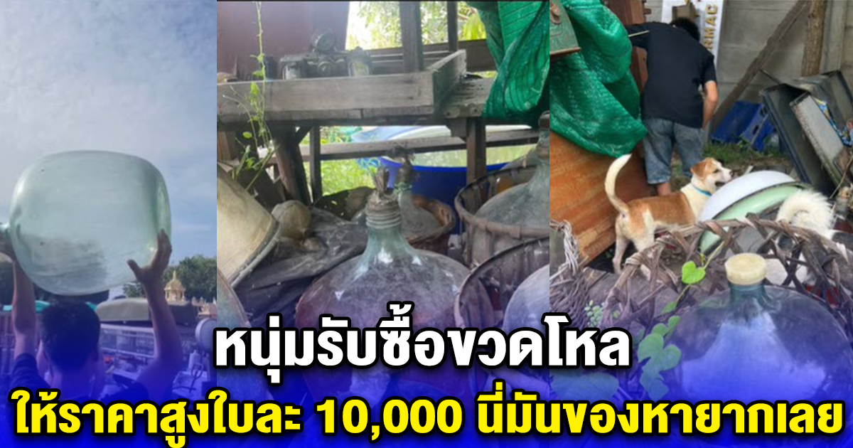 หนุ่มรับซื้อขวดโหล ให้ราคาสูงใบละ 10,000 นี่มันของหายากเลย