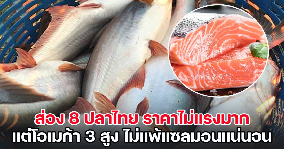 ส่อง 8 ปลาไทย ราคาไม่แรงมาก แต่โอเมก้า 3 สูง ไม่แพ้แซลมอนแน่นอน