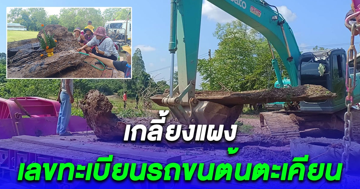 ชาวบ้านแห่ขอโชคลาภต้นตะเคียนและเศษหม้อดินโบราณอายุกว่า 200 ปี คึกคัก จุดธูปได้เลข