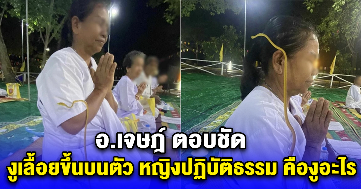 อ.เจษฎ์ ตอบชัด งูเลื้อยขึ้นบนตัว หญิงปฏิบัติธรรม คืองูอะไร