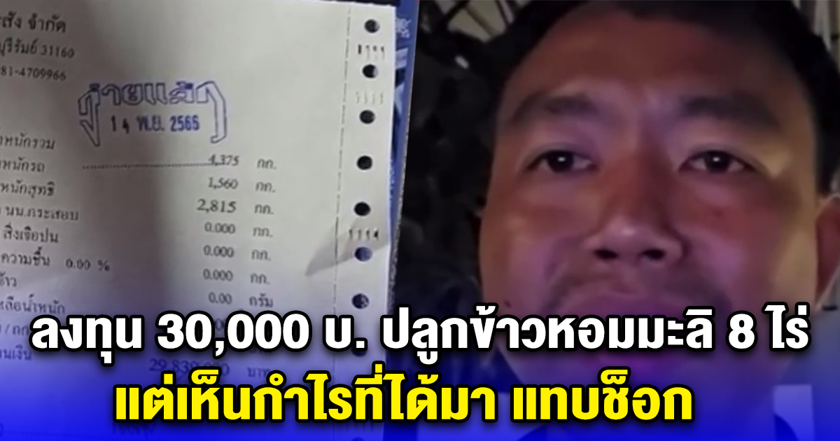 น้ำตาชาวนา ลงทุน 30,000 บ. ปลูกข้าวหอมมะลิ 8 ไร่ แต่เห็นกำไรที่ได้มา แทบช็อก