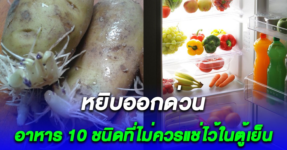 อาหาร 10 ชนิดที่ไม่ควรเก็บไว้ในตู้เย็น เก็บไว้ข้างนอก ทั้งอร่อยและปลอดภัยกว่า