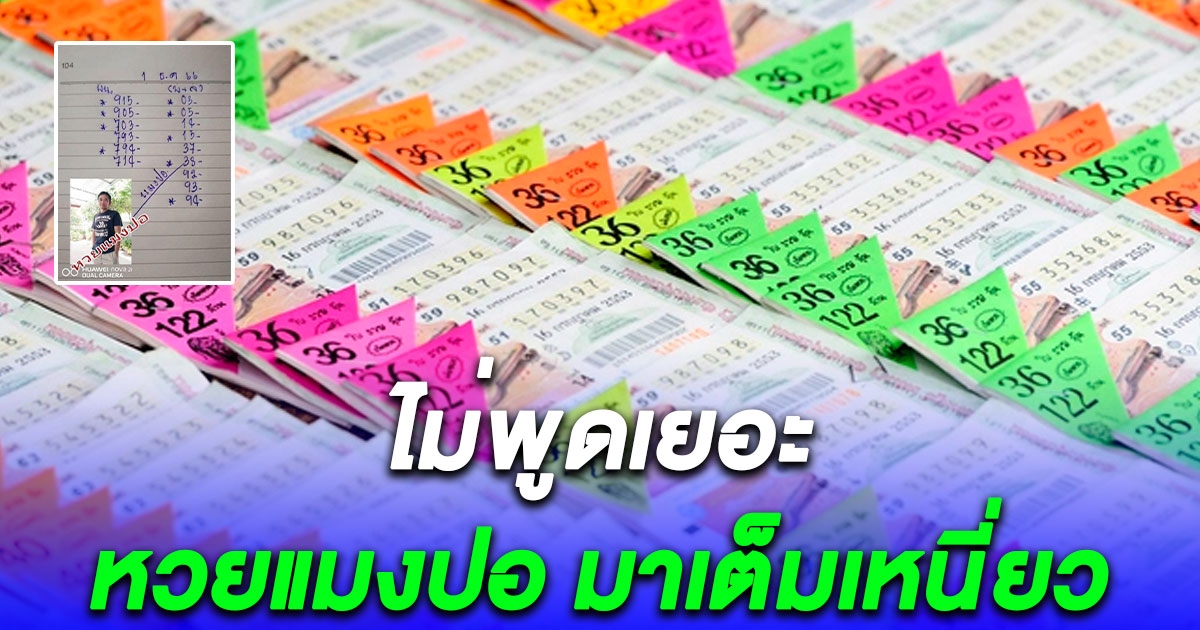 ไม่พูดเยอะ เลข แมงปอ จัดชุดใหญ่ มาเต็มเหนี่ยว งวด 1 ธ.ค. 66