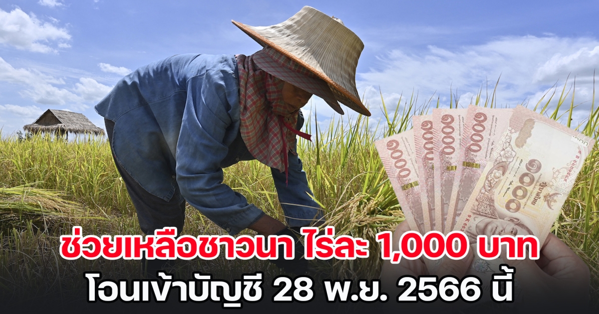 รอรับเงิน! เงินช่วยเหลือชาวนา ไร่ละ 1,000 บาท โอนเข้าบัญชี 28 พ.ย. 2566 นี้