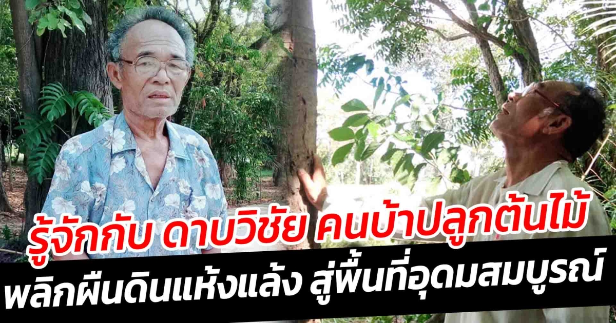 รู้จักกับ ดาบวิชัย คนบ้าปลูกต้นไม้ พลิกผืนดินแห้งแล้ง สู่พื้นที่อุดมสมบูรณ์