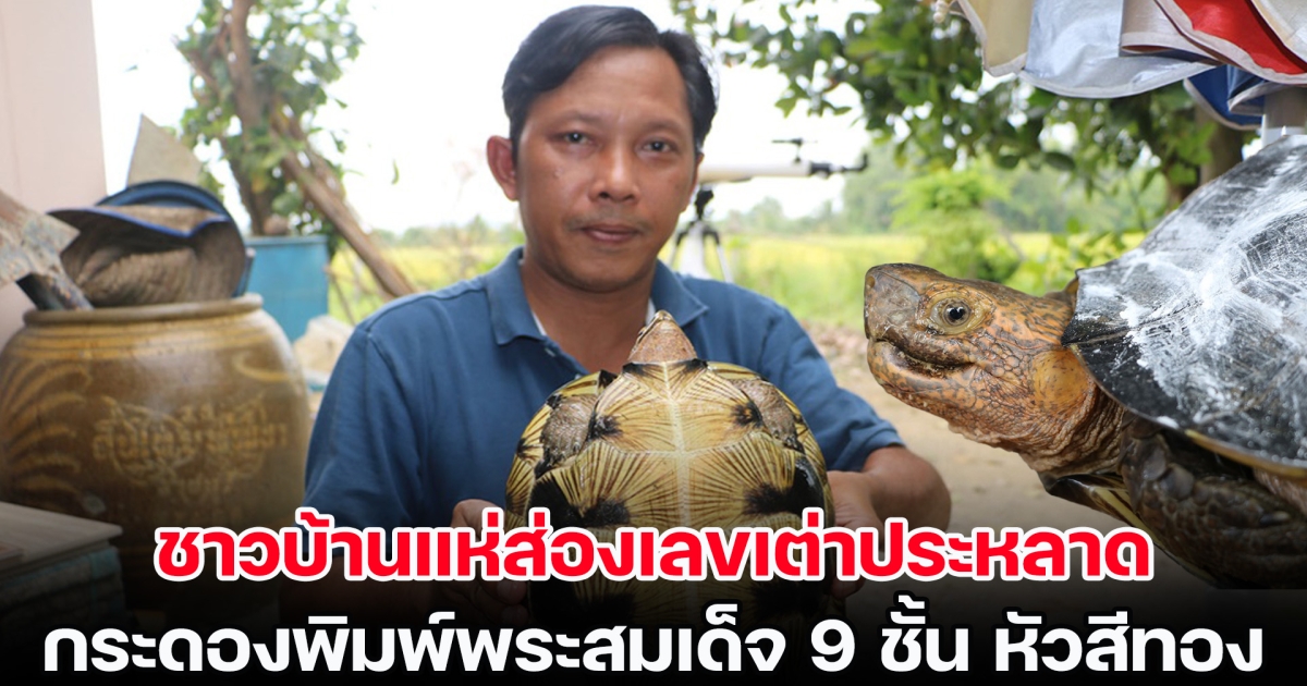 ชาวบ้านแห่ส่องเลขเต่าประหลาด กระดองคล้ายพิมพ์พระสมเด็จ 9 ชั้น หัวสีทอง