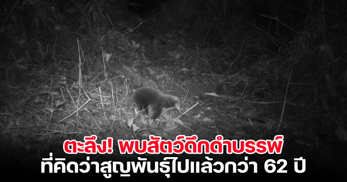 มูลนิธิสืบนาคะเสถียร รายงาน พบสัตว์ดึกดำบรรพ์ ที่นักวิทยาศาสตร์คิดว่าสูญพันธุ์ไปแล้วกว่า 62 ปี