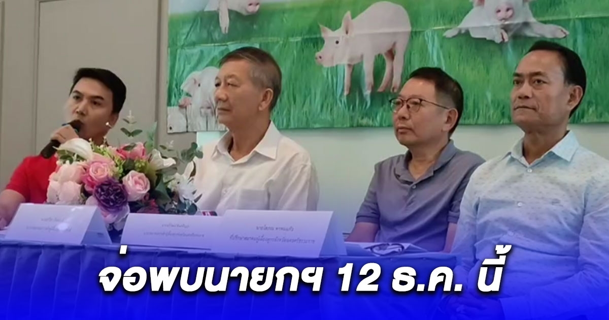 กลุ่มผู้เลี้ยงหมูภาคใต้ เรียกร้อง 4 ข้อจ่อพบนายกฯ 12 ธ.ค. ให้กำลังใจปราบหมูเถื่อน