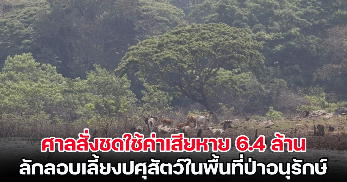 ศาลสั่งชดใช้ค่าเสียหาย 6.4 ล้าน เลี้ยงปศุสัตว์ในพื้นที่ป่าอนุรักษ์