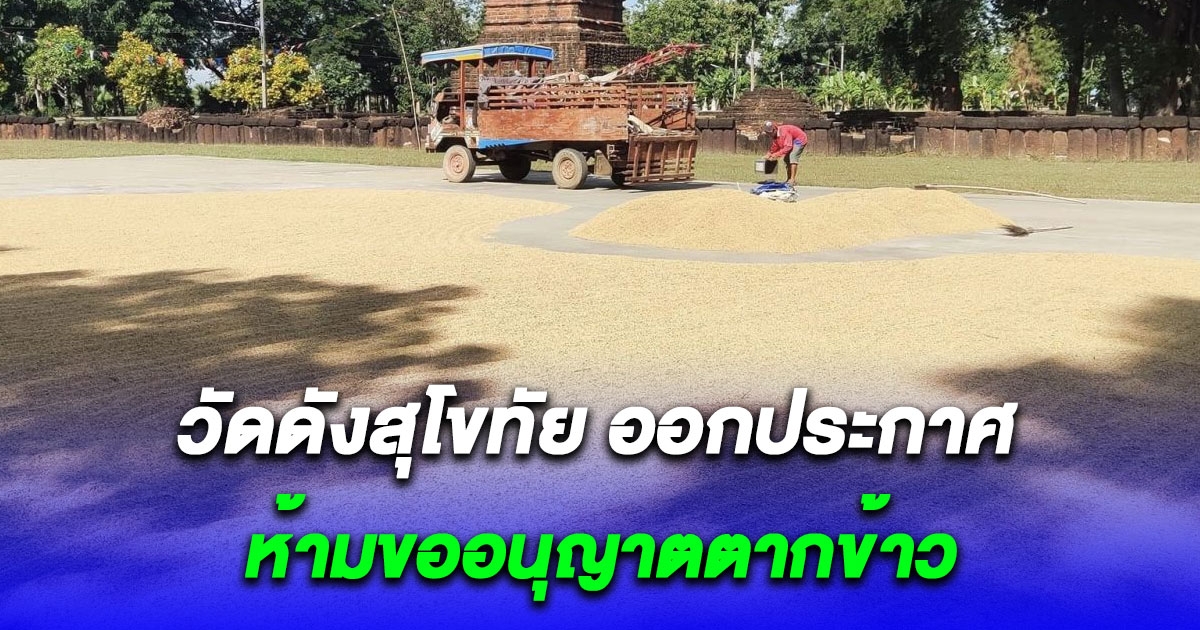 วัดดังสุโขทัย ออกประกาศ ห้ามขออนุญาตตากข้าว ว่างตรงไหน ก็ตากได้เลย โซเชียลแห่ชื่นชม