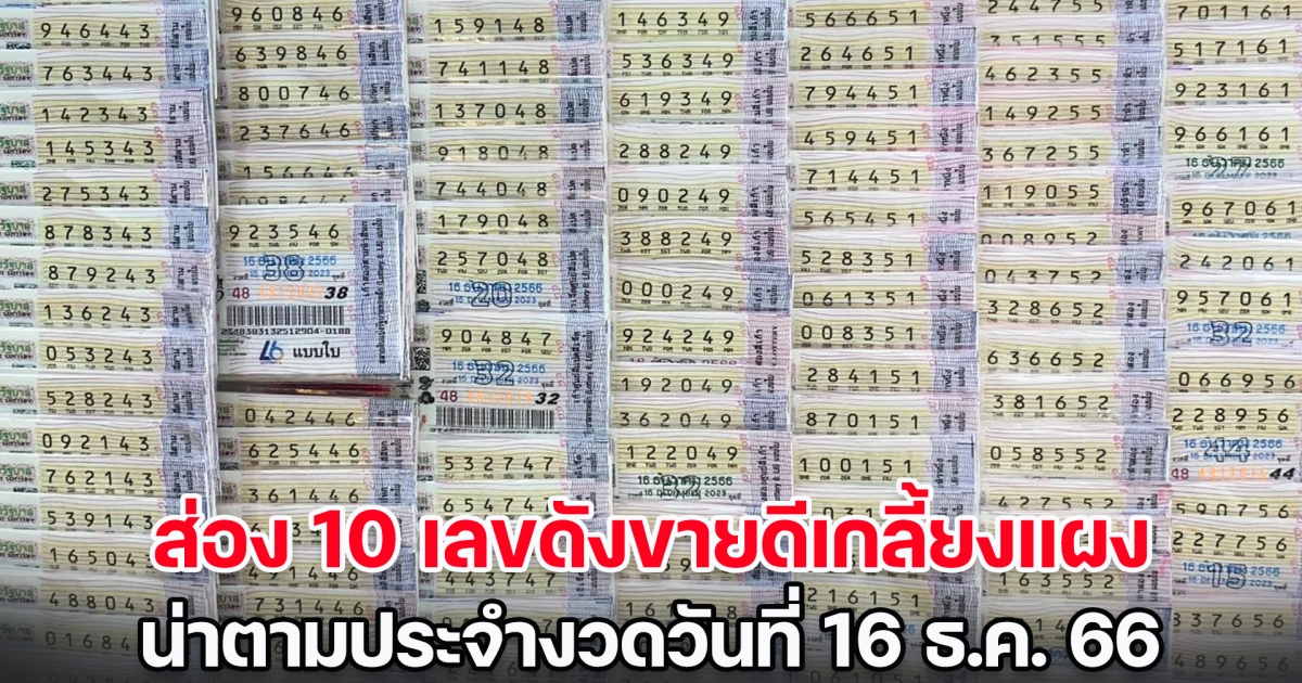 ส่อง 10 เลขดังขายดีเกลี้ยงแผง น่าตามประจำงวดวันที่ 16 ธ.ค. 66