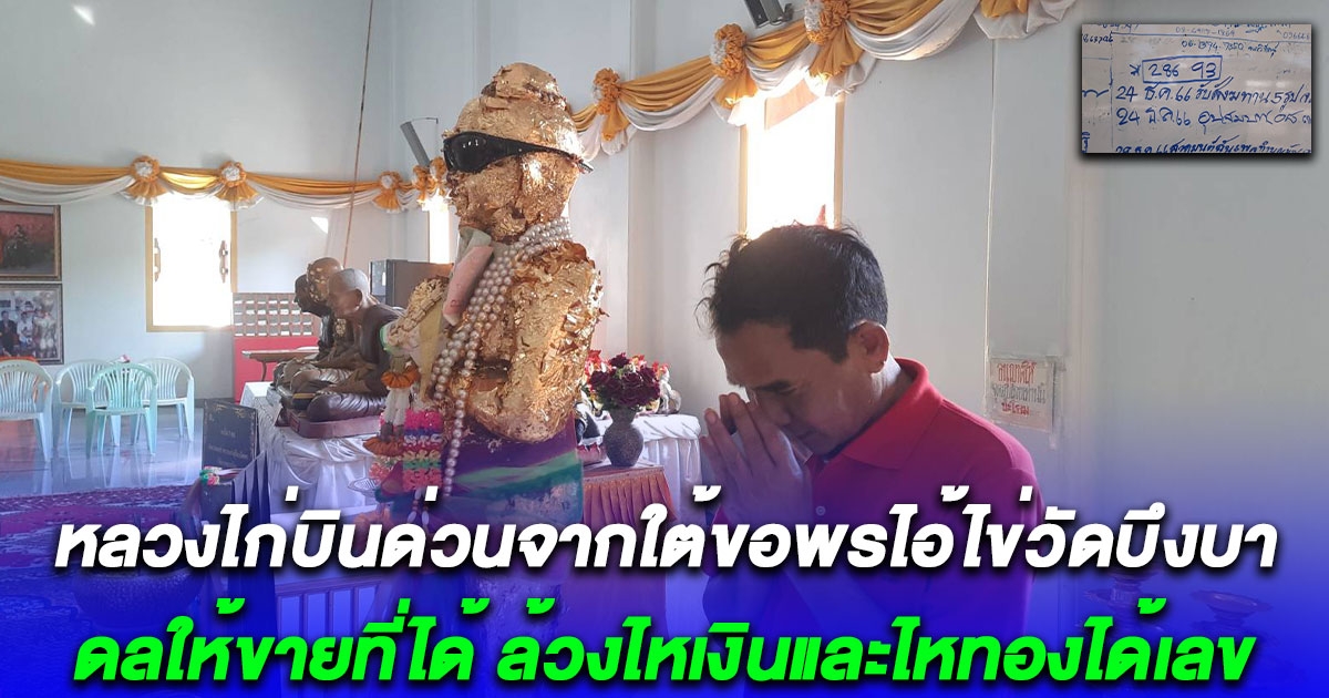โค้งสุดท้าย หลวงไก่บินด่วนจากใต้ขอพรไอ้ไข่วัดบึงบา ดลให้ขายที่ได้ สมหวังจะมาเล่นคอนเสิร์ต