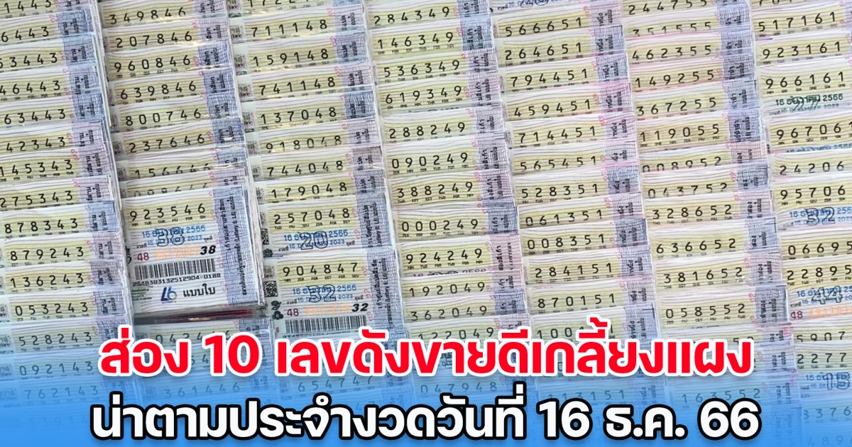 ส่อง 10 เลขดังขายดีเกลี้ยงแผง น่าตามประจำงวดวันที่ 16 ธ.ค. 66