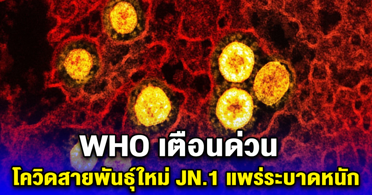 WHO เตือนด่วน โควิดสายพันธุ์ใหม่ JN.1 แพร่ระบาดหนัก