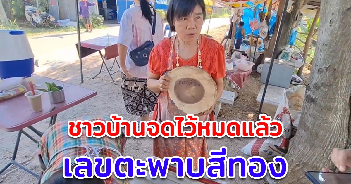 จดไว้หมดแล้ว เลขตะพาบสีทอง โผล่ให้เห็นก่อนหวยออก