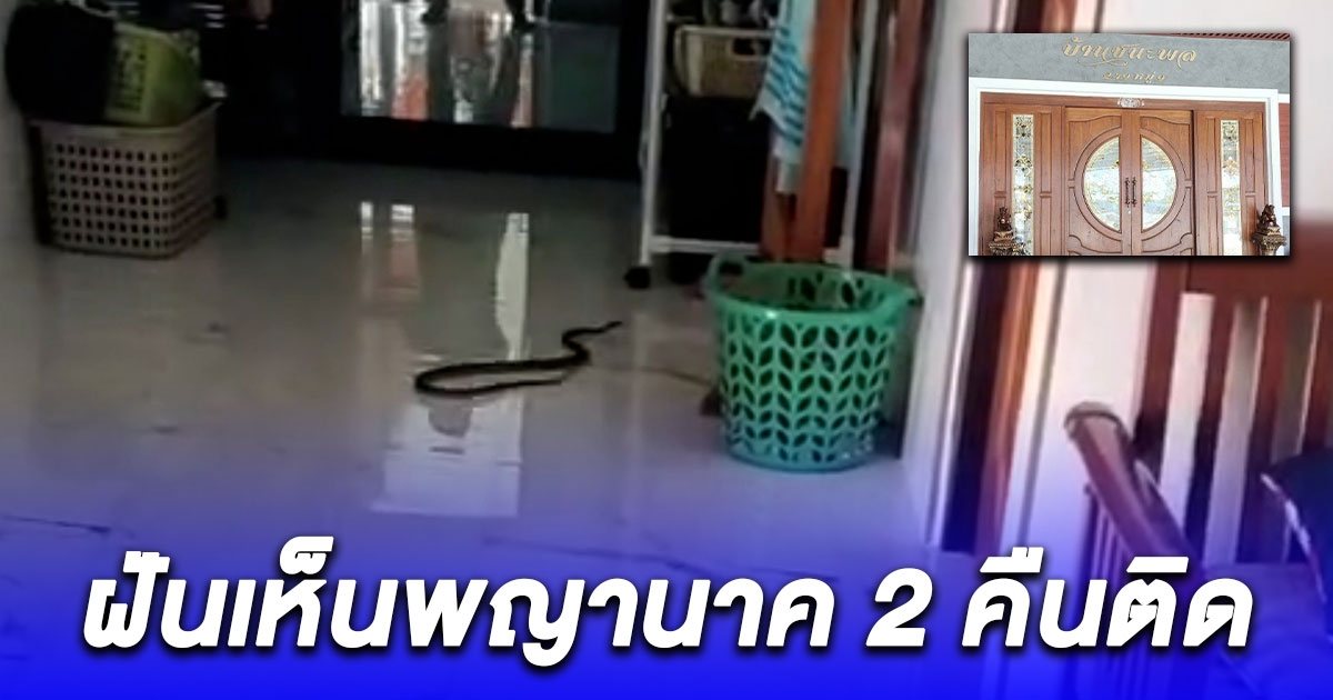 สาวเจ้าของปั๊มฝันเห็นพญานาค 2 คืนติด รุ่งเช้าพบงูนอนอยู่ในบ้าน เพื่อน ๆ แห่ถามบ้านเลขที่