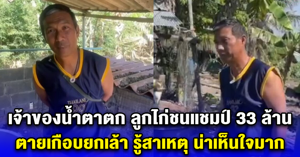 เจ้าของน้ำตาตก ลูกไก่ชนแชมป์ 33 ล้าน ตายเกือบยกเล้า รู้สาเหตุ น่าเห็นใจมาก