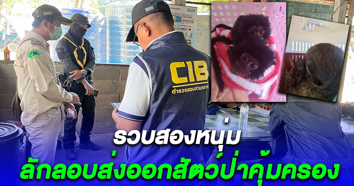 รวบสองหนุ่มลักลอบส่งออกสัตว์ป่าคุ้มครอง ยึดของกลางอื้อ