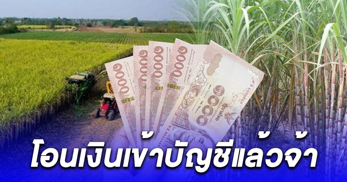 เงินอุดหนุนชาวไร่อ้อยตัดอ้อยสด โอนเงินเข้าบัญชีแล้ว