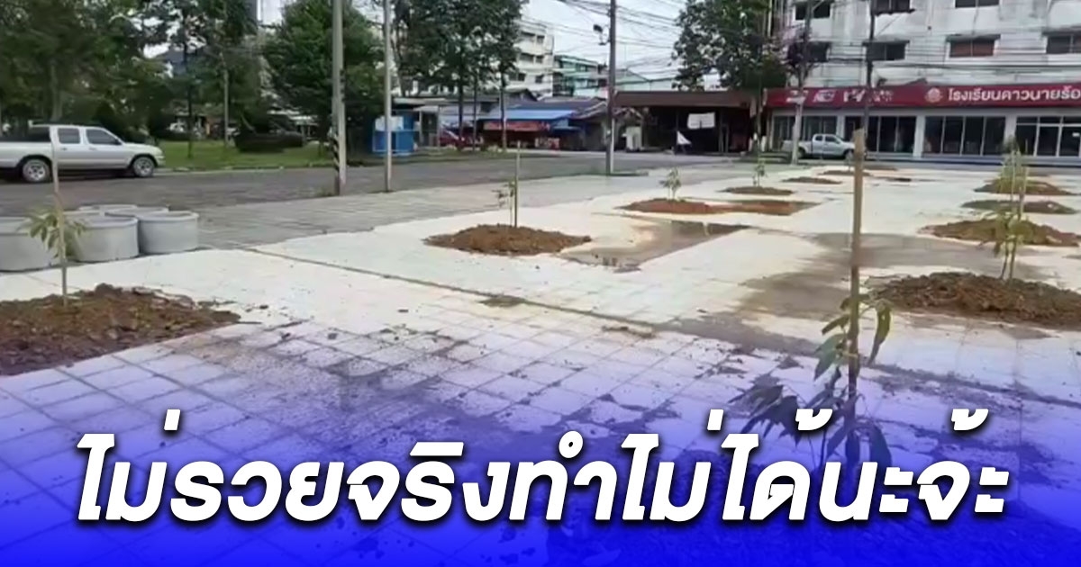 ไม่รวยจริงทำไม่ได้ เสี่ยใหญ่ใช้ที่ดินทำเลทองใจกลางเมือง ปลูกทุเรียนหมอนทอง 500 ต้น