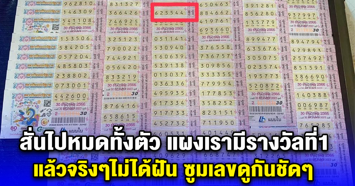 สั่นไปหมดทั้งตัว แผงเรามีรางวัลที่1 แล้วจริงๆไม่ได้ฝัน ซูมเลขดูกันชัดๆ