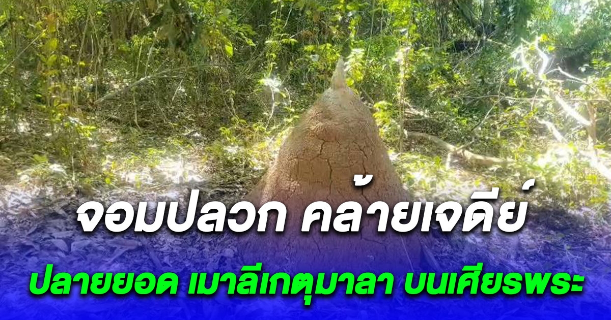 จอมปลวก คล้ายเจดีย์ ปลายยอด เมาลีเกตุมาลา บนเศียรพระ ชาวบ้านเห็นเลขตรงกัน
