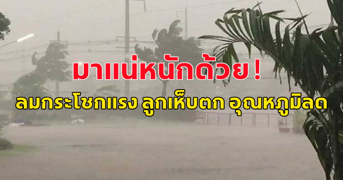มาแน่หนักด้วย กรมอุตุฯเตือน ฝนฟ้าคะนอง ลมกระโชกแรง ลูกเห็บตก หลังจากนั้น อุณหภูมิลดอีก