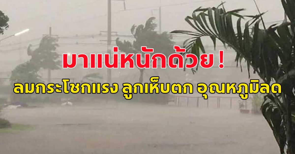 มาแน่หนักด้วย  กรมอุตุฯเตือน ฝนฟ้าคะนอง ลมกระโชกแรง ลูกเห็บตก หลังจากนั้น อุณหภูมิลดอีก