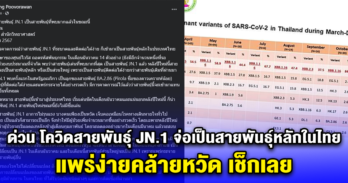 ด่วน โควิดสายพันธุ์ JN.1 จ่อเป็นสายพันธุ์หลักในไทย แพร่ง่ายคล้ายหวัด เช็กเลย