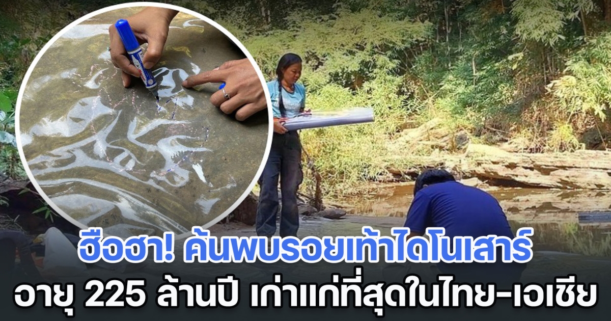 ฮือฮา! ค้นพบรอยเท้าไดโนเสาร์ อายุ 225 ล้านปี เก่าแก่ที่สุดในไทยและเอเชีย