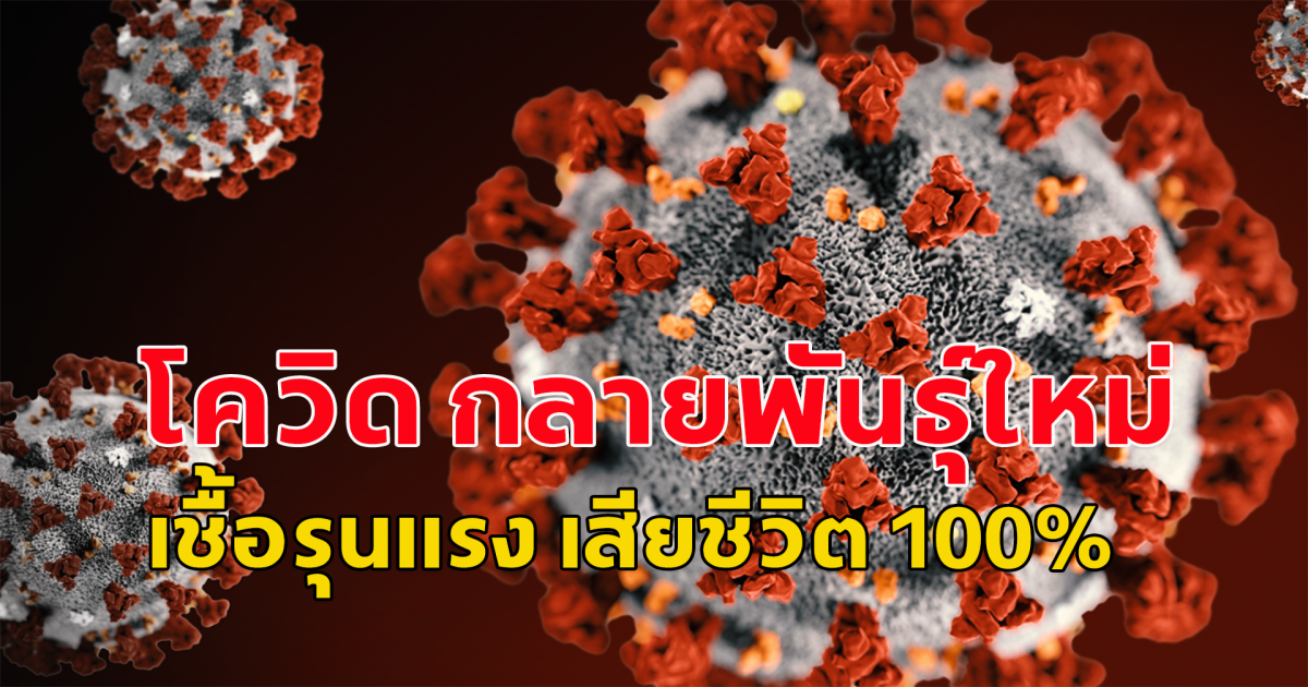 นักวิจัยชาวจีนทดลองไวรัสโควิด กลายพันธุ์ใหม่ เชื้อรุนแรง เสียชีวิต 100%