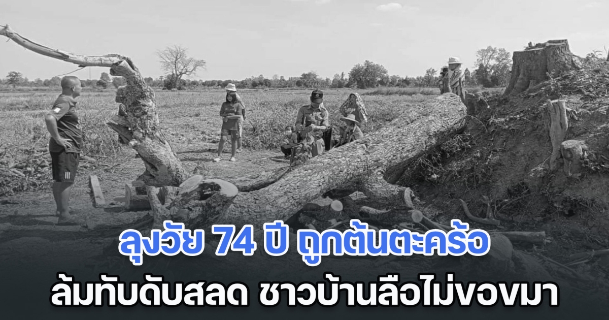 ลุงวัย 74 ปี ถูกต้นตะคร้อ อายุ 120 ปี ล้มทับดับสลด ชาวบ้านลือไม่ขอขมาก่อน