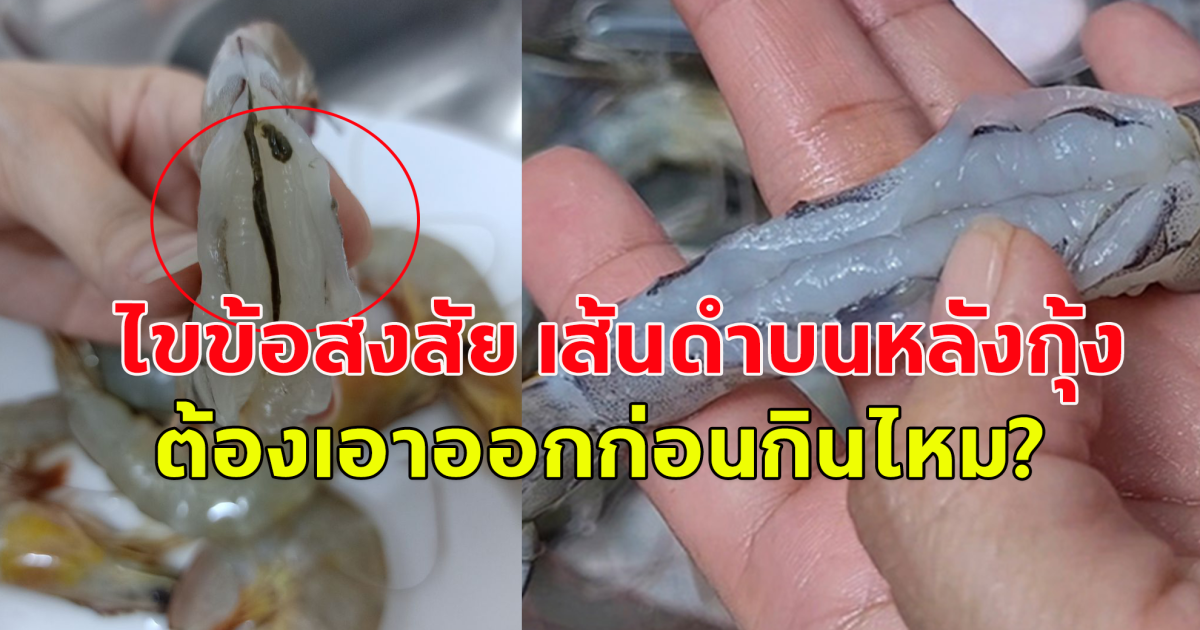 ไขข้อสงสัย เส้นดำบนหลังกุ้ง ต้องเอาออกก่อนกินไหม