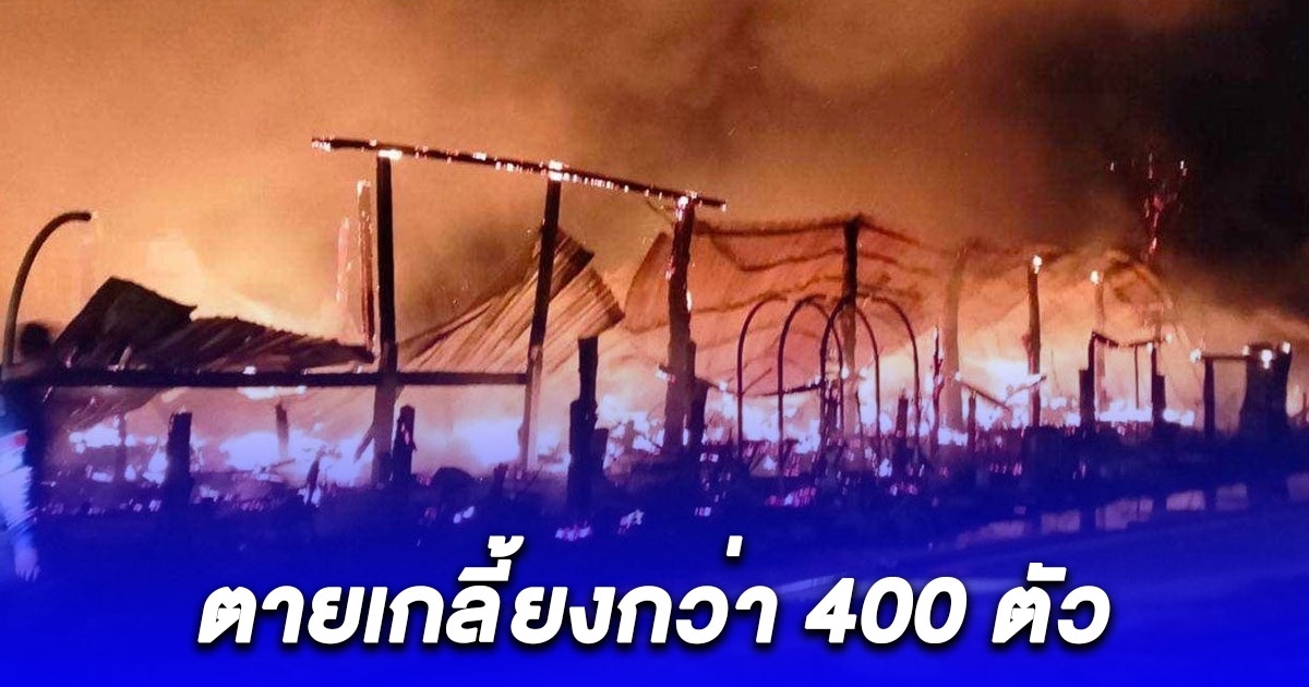 เพลิงไหม้คอกแพะกว่า 400 ตัวร้องระงม หนีไม่ได้ โดนย่างสดสุดเวทนา เสียหายหลายล้าน