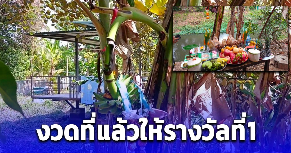 แห่จุดธูปขอโชคต้นกล้วยประหลาด หลังให้ถูกรางวัลที่ 1 งวดที่ผ่านมา