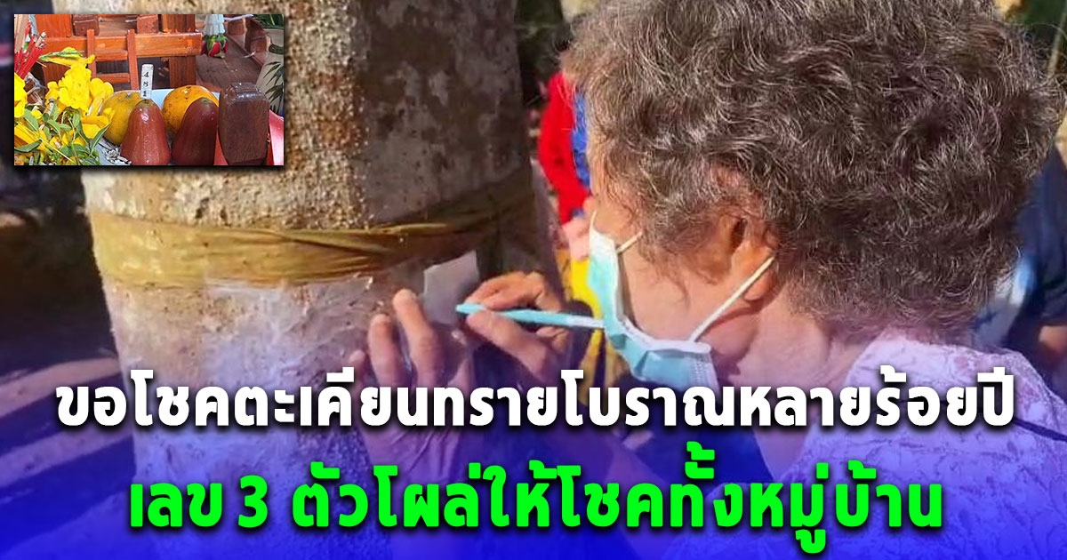 แห่ขอโชคตะเคียนทรายโบราณหลายร้อยปี เลข 3 ตัวโผล่ให้โชคทั้งหมู่บ้าน