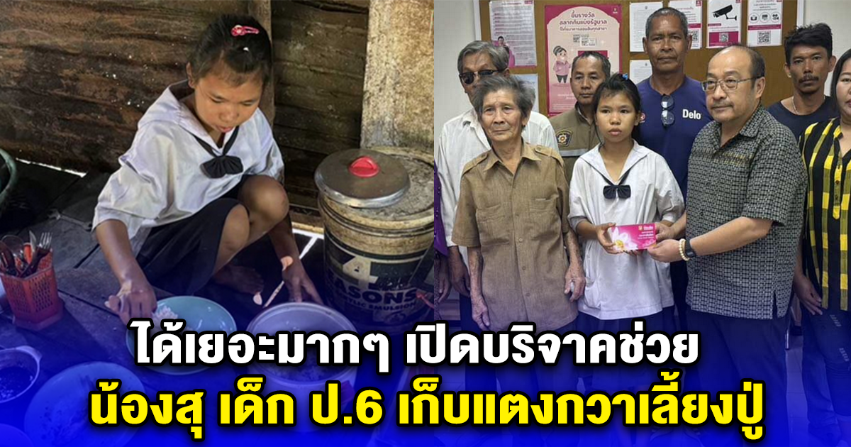 ได้เยอะมากๆ เปิดยอดบริจาคช่วย น้องสุ เด็ก ป.6 เก็บแตงกวาเลี้ยงปู่
