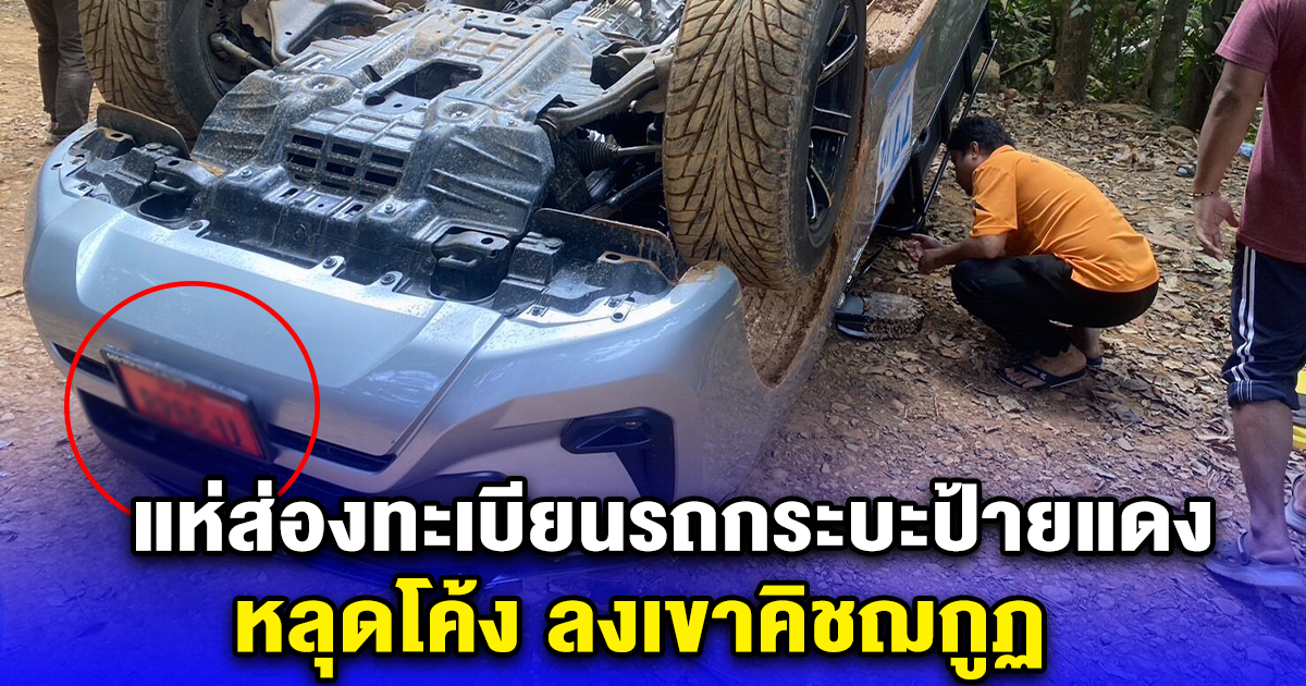 ส่องทะเบียนรถกระบะป้ายแดง หลุดโค้ง ลงเขาคิชฌกูฏ