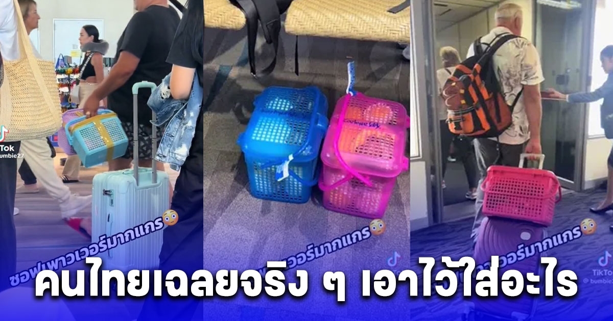 คนไทยขอพูดตรง ๆ ตระกร้านี้ที่จริงเอาไว้ใส่อะไร หลังต่างชาติหิ้วกลับประเทศ ว่อนสนามบิน