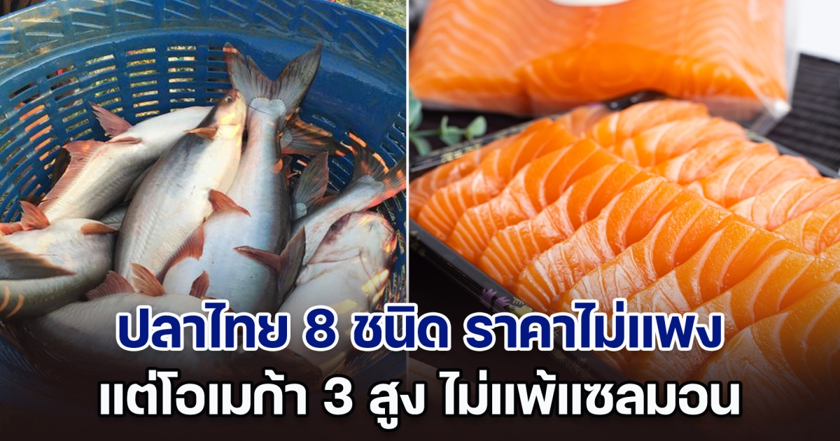เปิดชื่อปลาไทย 8 ชนิด ราคาไม่แพง แต่โอเมก้า 3 สูง ไม่แพ้แซลมอนแน่นอน