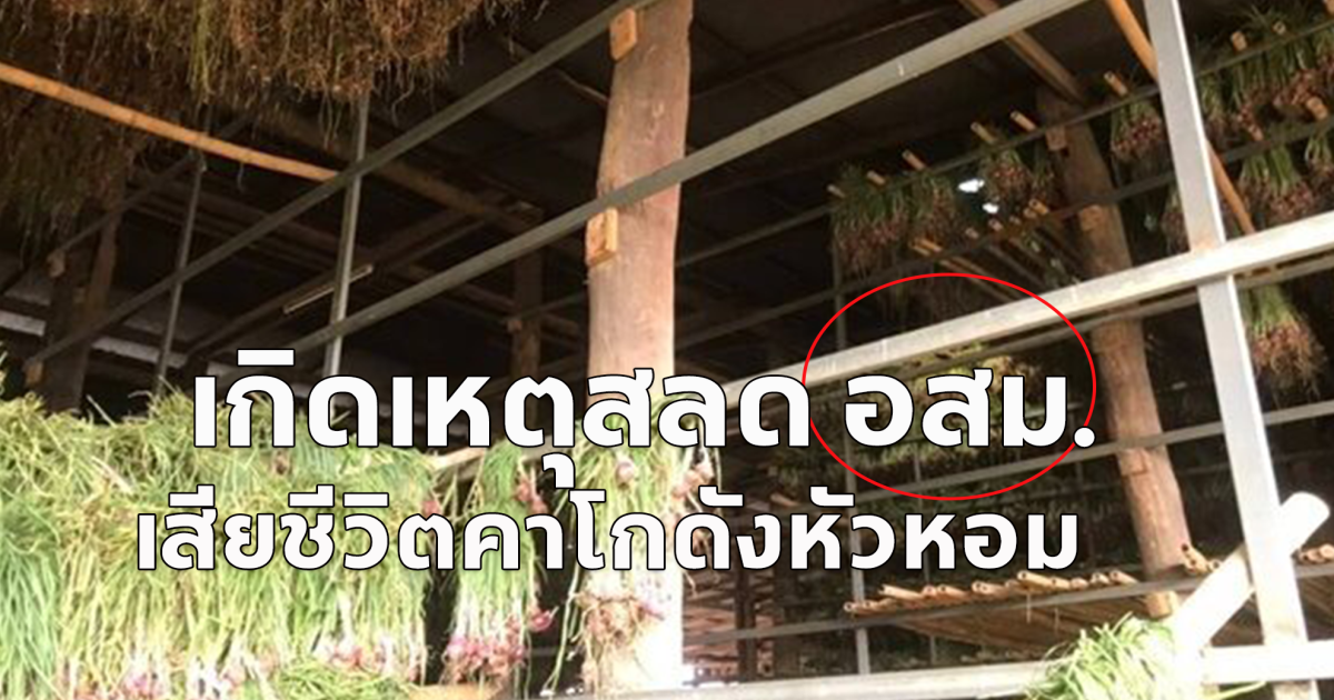 เกิดเหตุสลด เจ้าหน้าที่ อสม.เสียชีวิตคาโกดัง หอมแดง